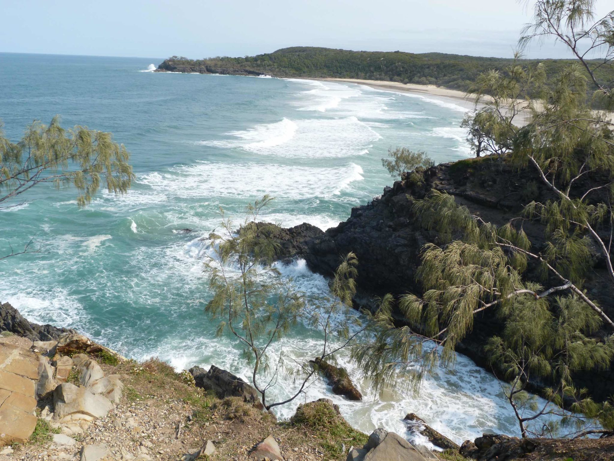 Noosa Coastal Walk | Noosa.com