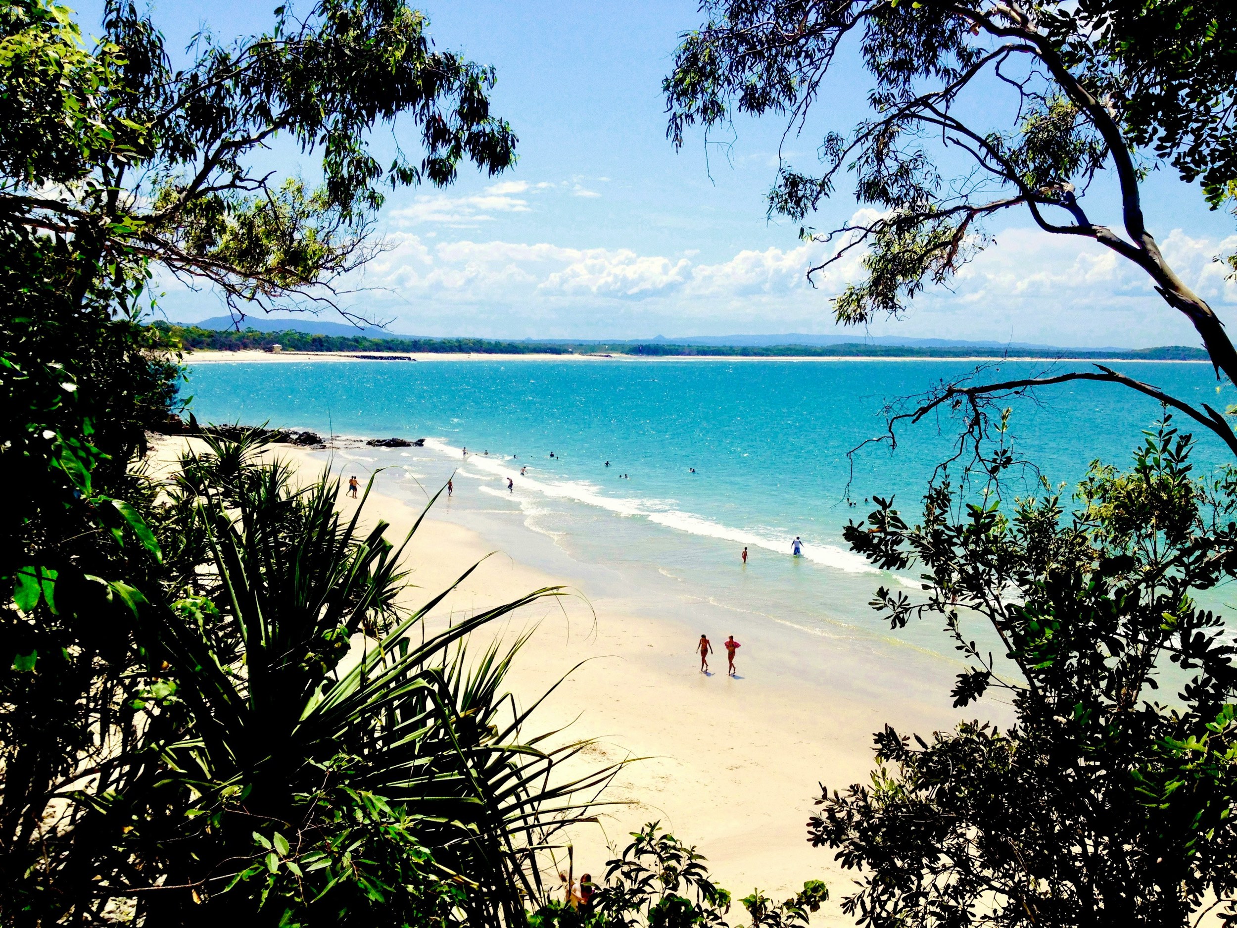 Looking down at little cove from the coastal track in Noosa