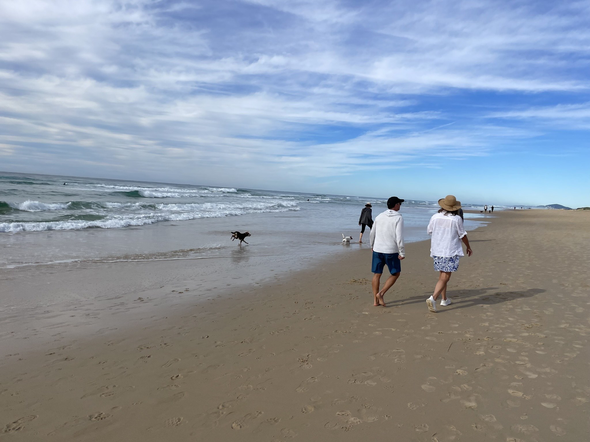 North End of Sunshine Beach  with people walking their doggies