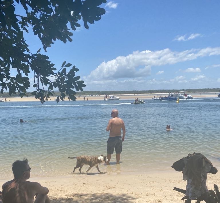 Noosa Doggy Beach 
