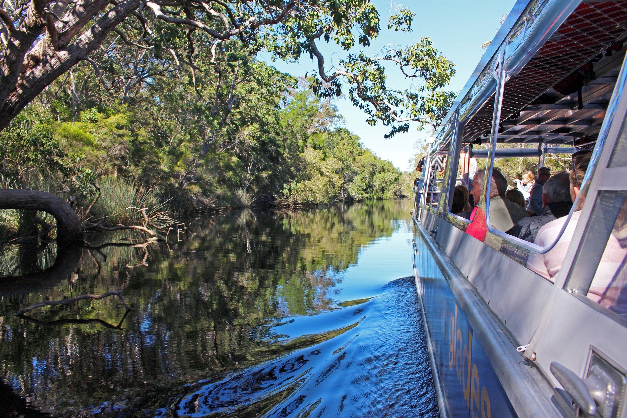 The Boat Everglades Eco Safari Noosa 