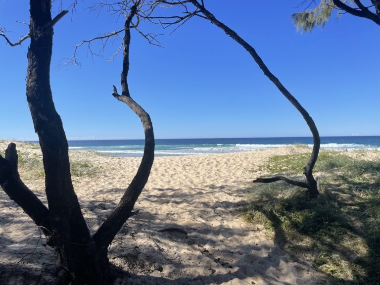 Sunrise Beach | Noosa.com