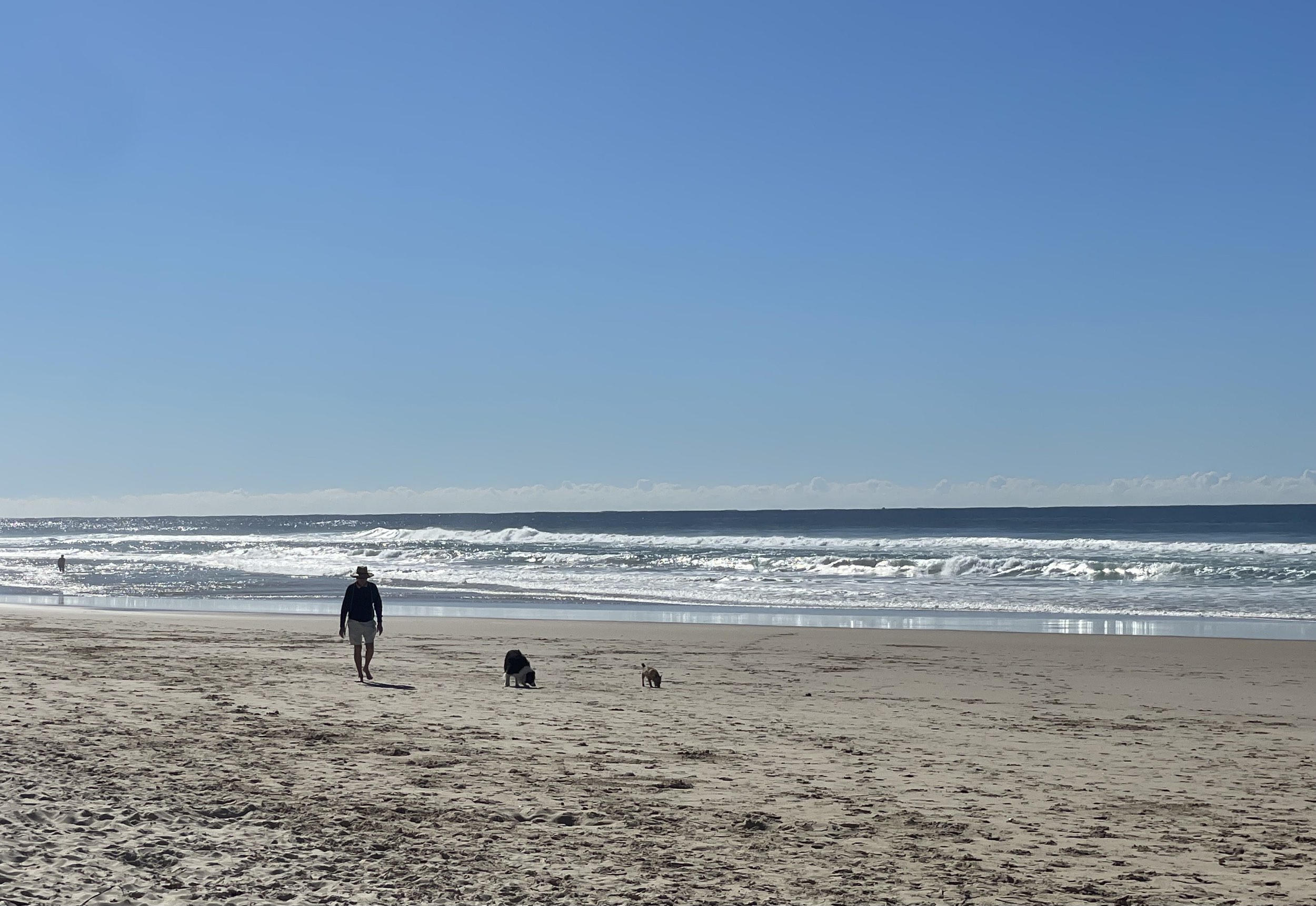 Man and his dogs on Marcus Beach