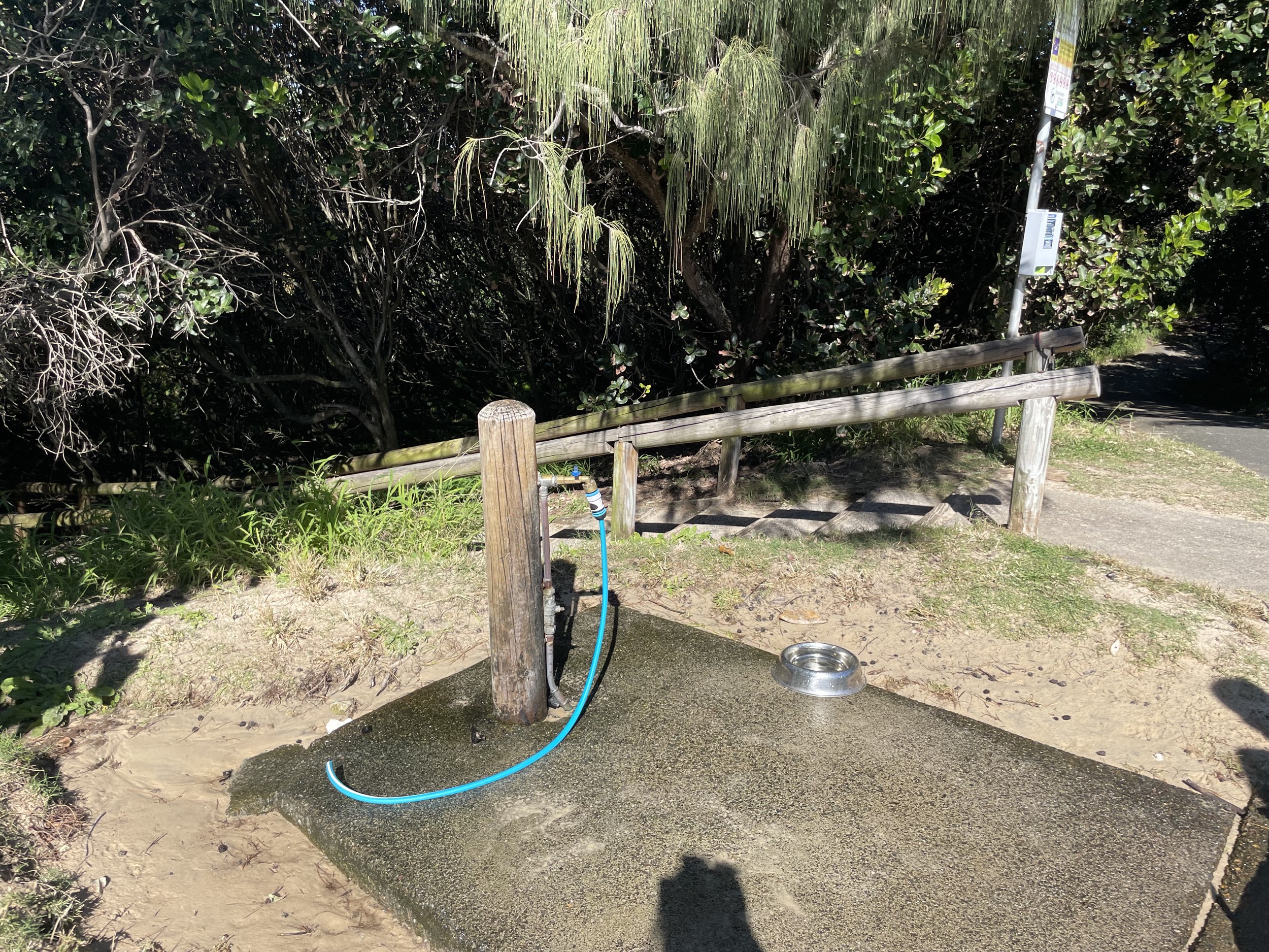 Dog wash area with hose and water bowl for dogs - marcus beach