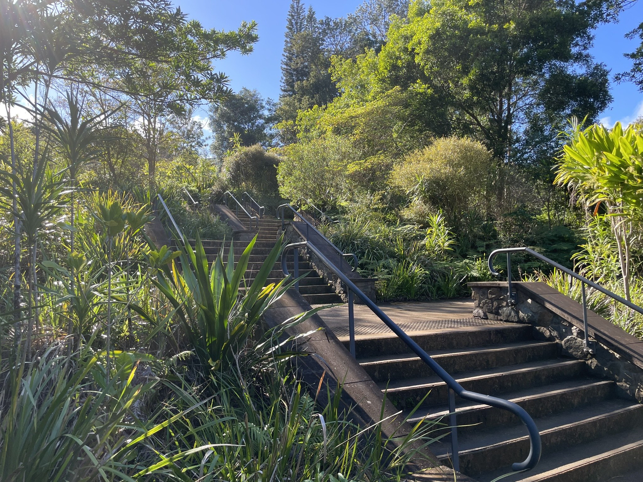 Steps down to Russell Family Park from Montville main street